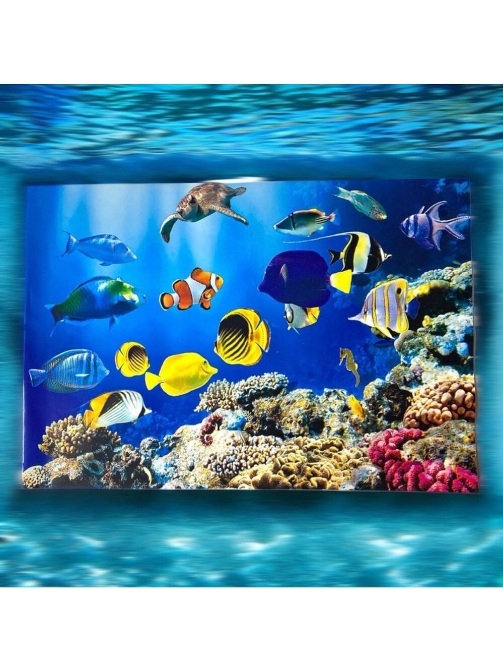 25 10X13 Poly Mailers Ocean Coral Reef With Fish, Turtle, Seahorse PRICE IS FIRM - Picture 3 of 12